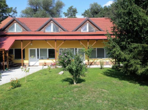 Отель Apartments Vita Center, Рогашка Слатина